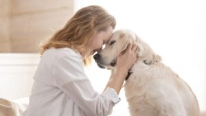 il valore del tempo condiviso con il tuo animale