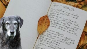 scrivere una lettera al proprio animale
